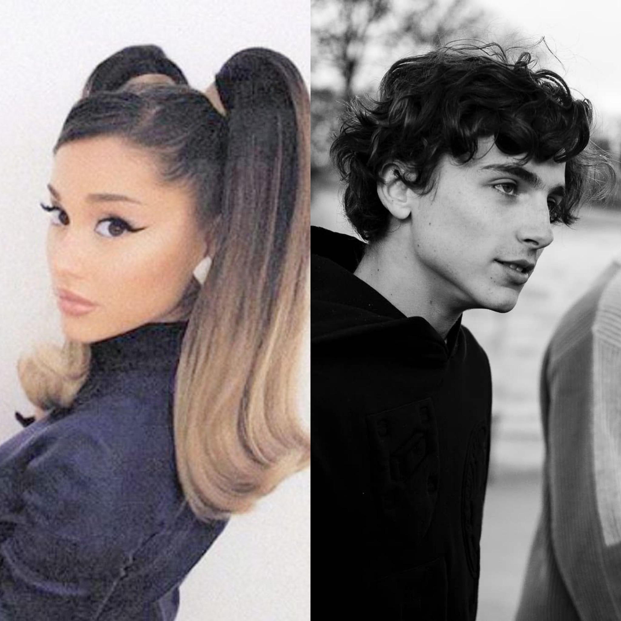 Ariana Grande And Timothée Chalamet Join Jennifer Lawrence In “Don’t ...